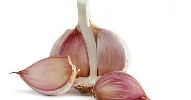 Which foods treat garlic odor after eating the best?