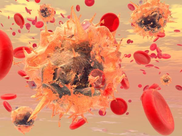 White blood cells move like many animals