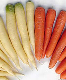 White carrots