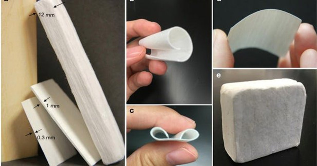 White nanowood material promises extraordinary insulation