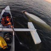 White whales sing with Canadian artists