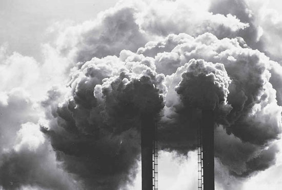 WHO calls for improved air quality