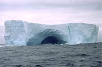 Who discovered the Antarctic Mainland?