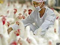 WHO: Global contagious disease