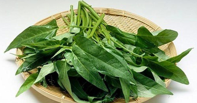 Who should limit eating morning glory?