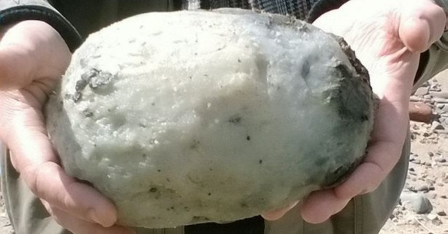 Why ambergris are more expensive than gold?
