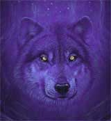 Why are animal eyes shining under the lights