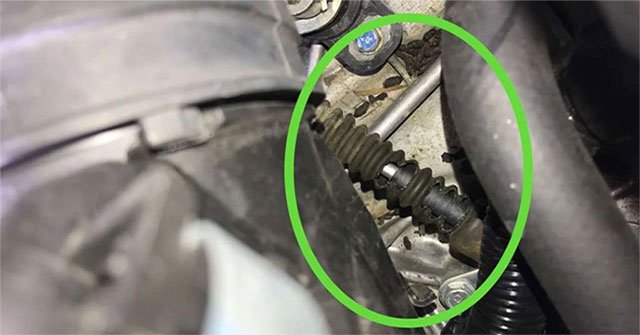 Why are cars bitten by rats today?