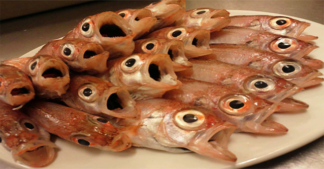 Why are early season food expensive like gold that Japanese people still compete to buy?