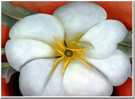 Why are flowers beautiful?