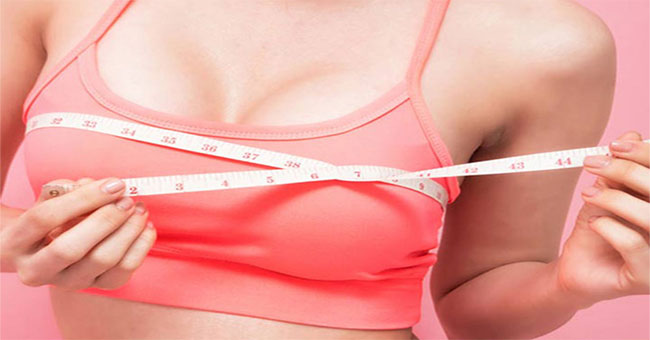 Why are human breasts big?