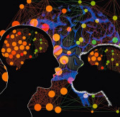 Why are humans smarter than chimpanzees?
