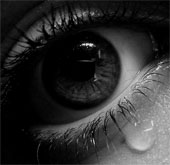 Why are people and elephants crying?