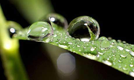 Why are raindrops different sizes?