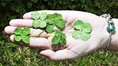 Why are so many people so lucky to believe?
