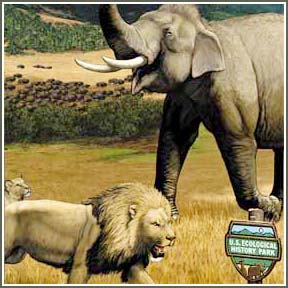 Why are terrestrial predators smaller than elephants?