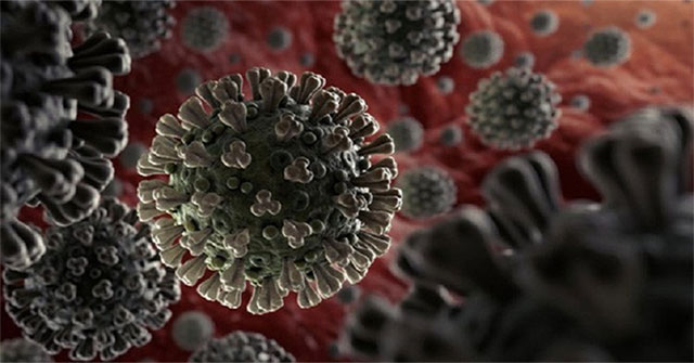 Why can people recover from re-infection with nCoV?