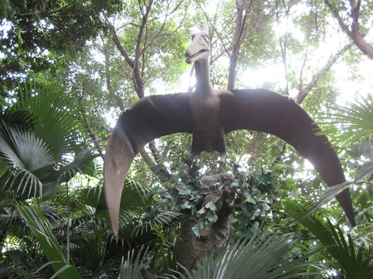 Why can the 'giraffe dinosaur' fly?