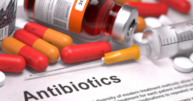 Why can't dengue drink antibiotics?