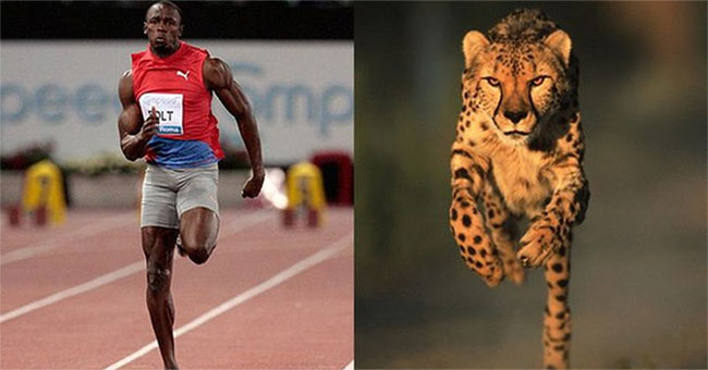Why can't humans run as fast as ... newspapers?
