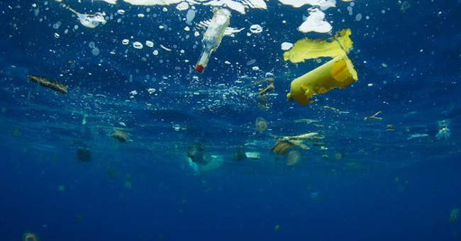 Why can't marine animals stop eating plastic garbage?