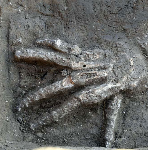 Why did Egyptian warriors cut the enemy's right hand?