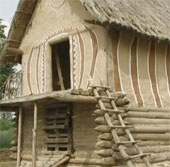 Why did the Cucuteni civilization disappear?