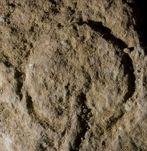Why do ancient Europeans like female genital engraving stations?