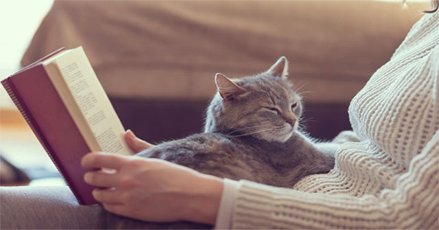 Why do cats often do kneading dough?