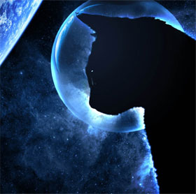 Why do cats see at night but daytime sightings?