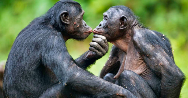 Why do creatures need to mate?