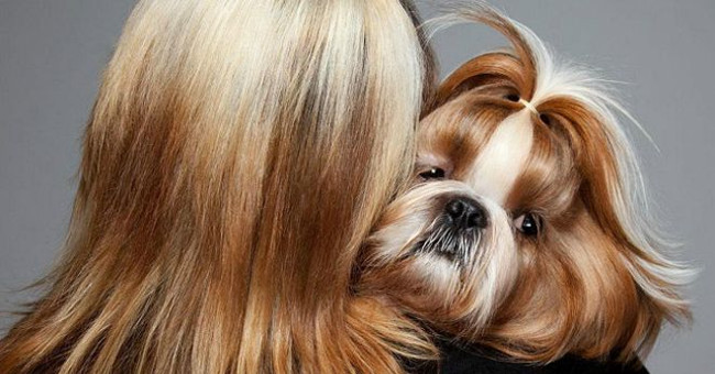 Why do dogs and masters often look alike?