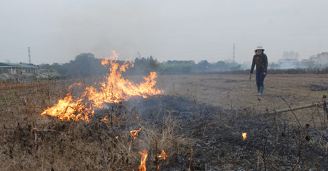 Why do farmers burn straw?