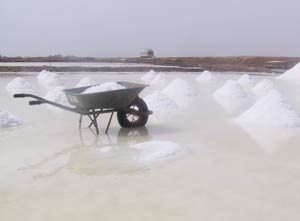 Why do few people separate fresh water from sea water?