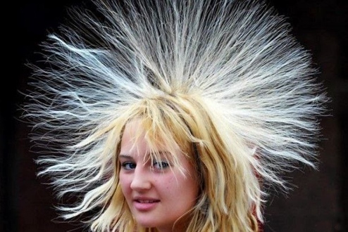 Why do hairs stand on a dry, cold day?