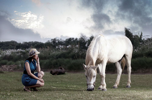 Why do horses often sleep?