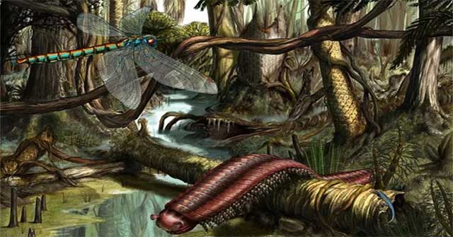 Why do insects abandon their large prehistoric bodies and become smaller and smaller?