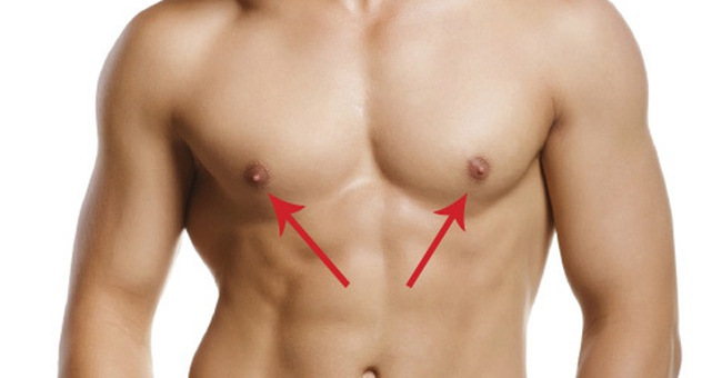 Why do men's breasts also have ... nipples?