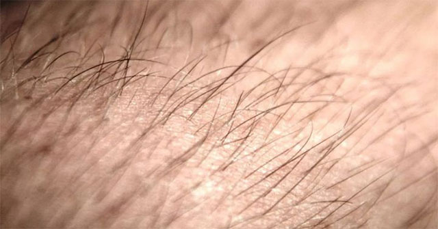 Why do people have to cut their hair and not other animals?