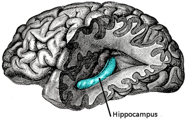 Why do people suddenly lose memory?