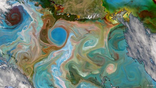 Why do seawater have different colors?