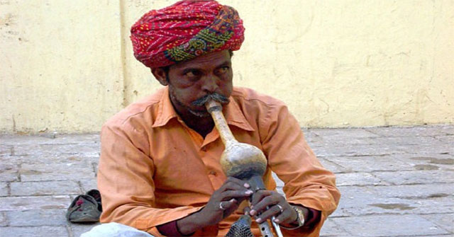 Why do snakes without ears hear the flute?