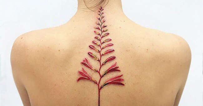 Why do tattoo carriers rarely suffer from seasonal diseases?
