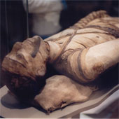 Why do the Egyptians marvel?