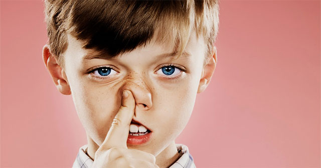 Why do we have a nose?
