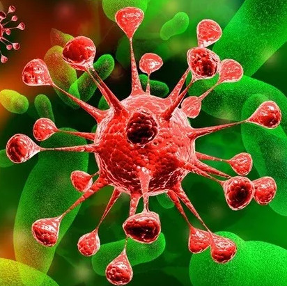 Why do we have cancer?