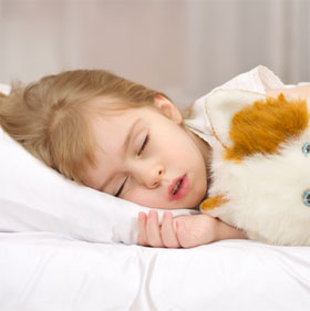 Why do we need to sleep?