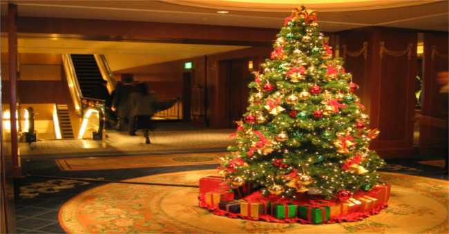 Why does Christmas use Christmas trees but not other trees?