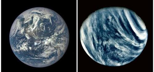 Why does life appear on Earth instead of Venus?