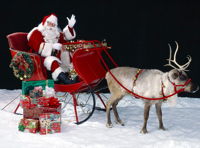 Why does Santa choose car pull reindeer?